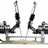 UW BioRobotics Lab