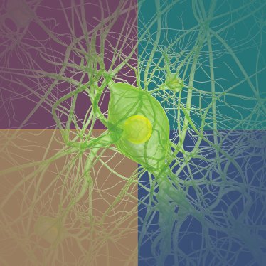 Personality Neuroscience