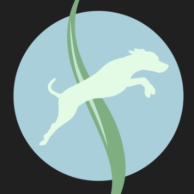 Integrative Veterinary Wellness