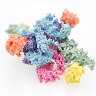 Structural and Synthetic Biology