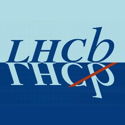 LHCb Physics