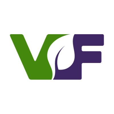Vegan Fusion with Chef Mark Reinfeld