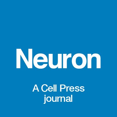 Neuron