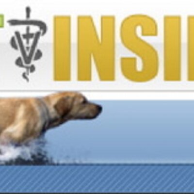 Vet Insider Magazine