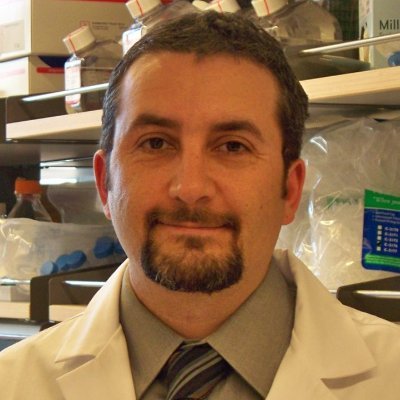 Ash Alizadeh, MD/PhD 🇺🇸