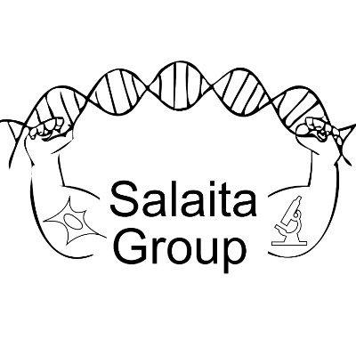 salaitalab