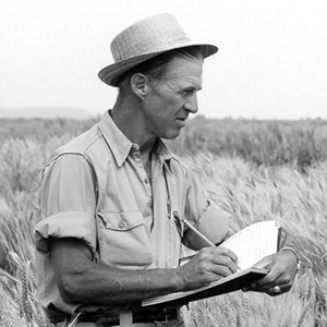Borlaug Institute for International Agriculture